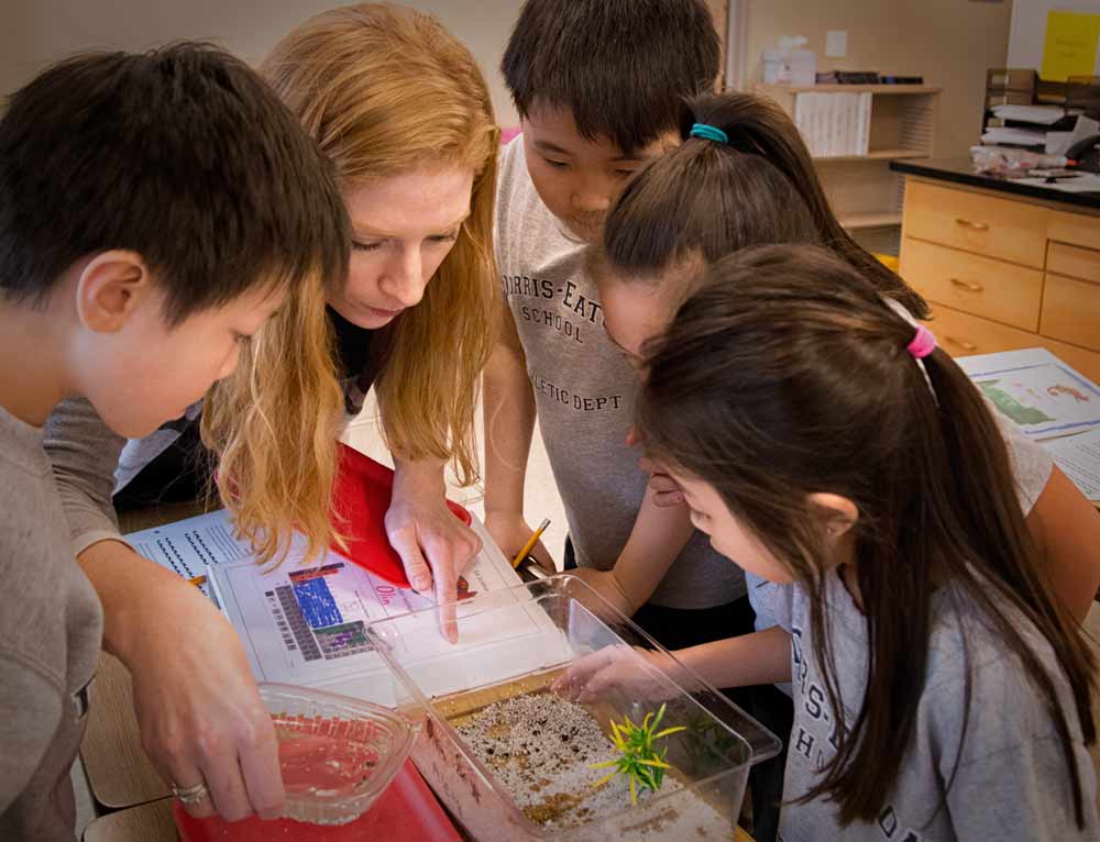 Collaborative science class at Dorris-Eaton School in San Ramon